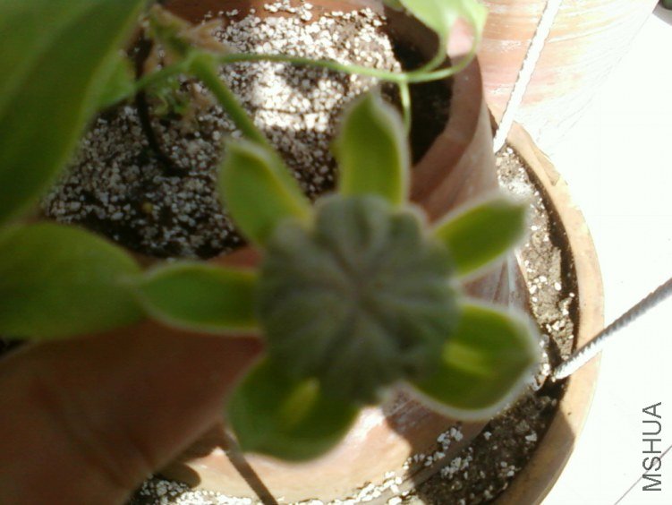 ��Ƭ-0505.jpg