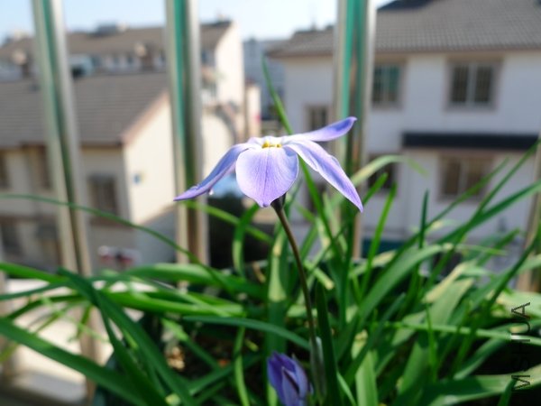 P1000047.jpg