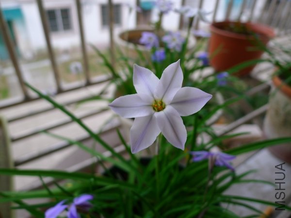 P1000199.jpg