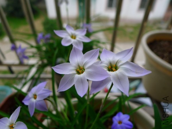 P1000197.jpg