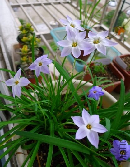 P1000207.jpg