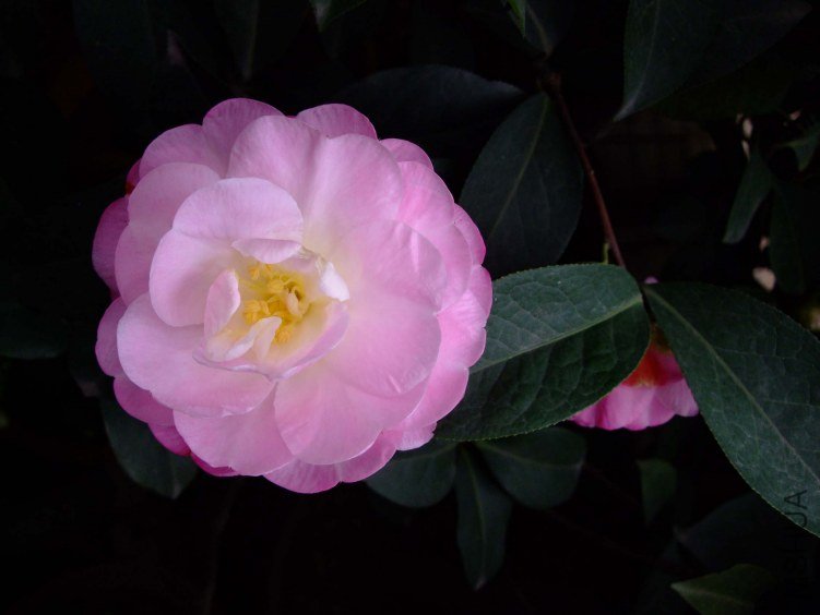 �����Ϲ� 2012-3-18f 005.jpg