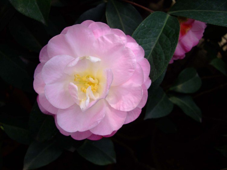 �����Ϲ� 2012-3-18f 105.jpg