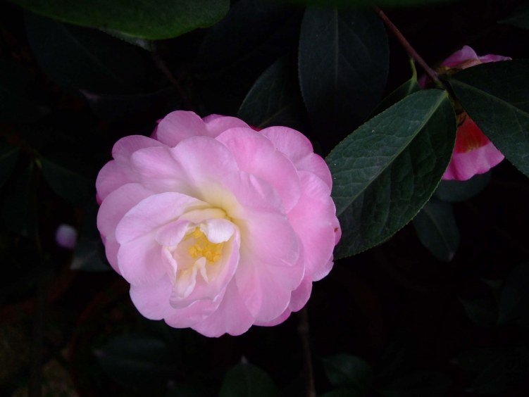�����Ϲ� 2012-3-18f 006.jpg