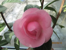 IMG_0006.JPG