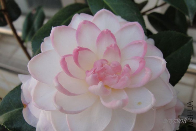 nEO_IMG_DSC02152.jpg