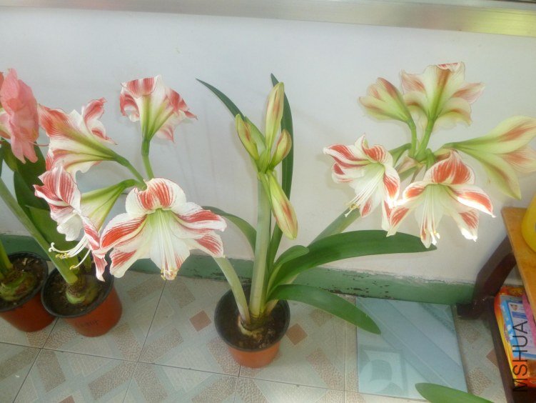 P1010218.JPG