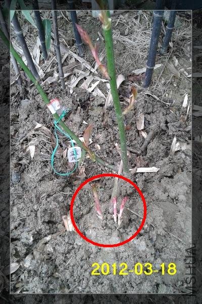 2012-03-18 13.02.33.jpg