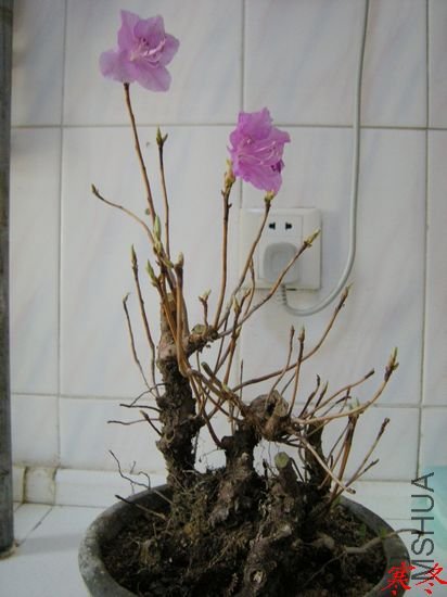 DSCN0942.jpg