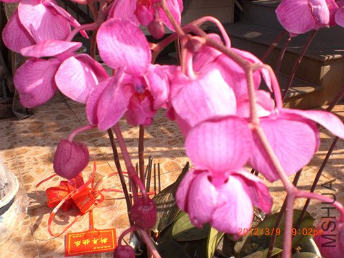 CIMG2127_����.jpg