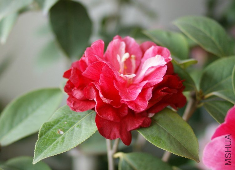 QQ��ͼ20120318210517.jpg