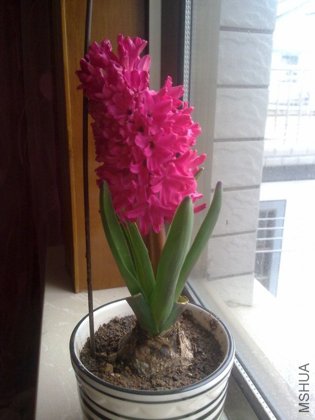 20120317377.jpg