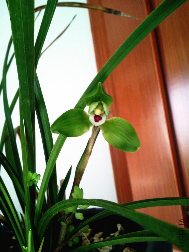 ��Ƭ0298.jpg