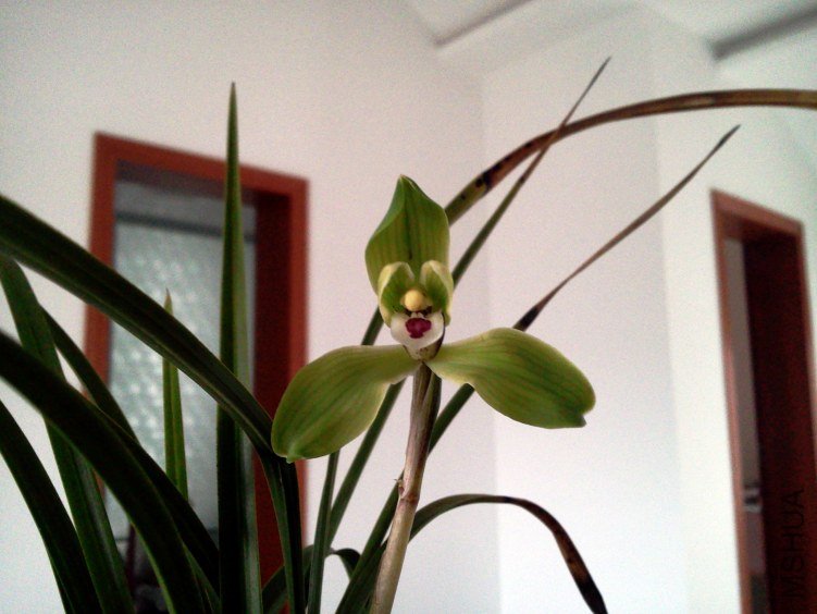 ��Ƭ0303.jpg