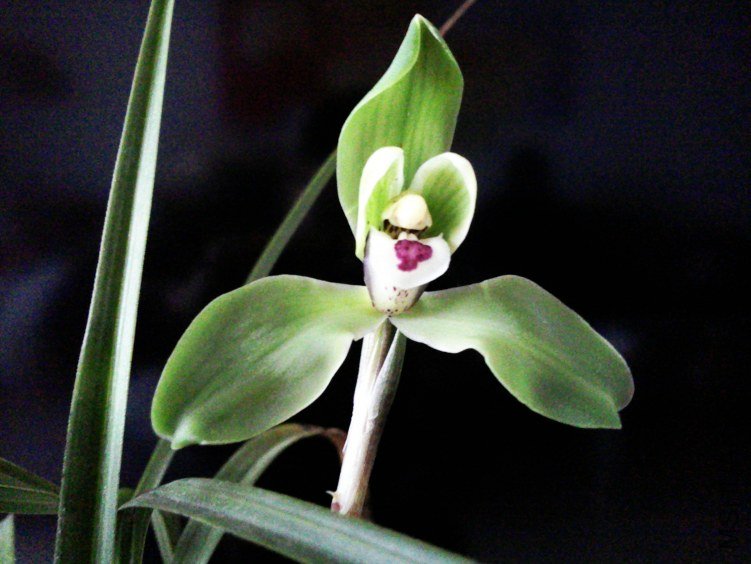 ��Ƭ0324.jpg
