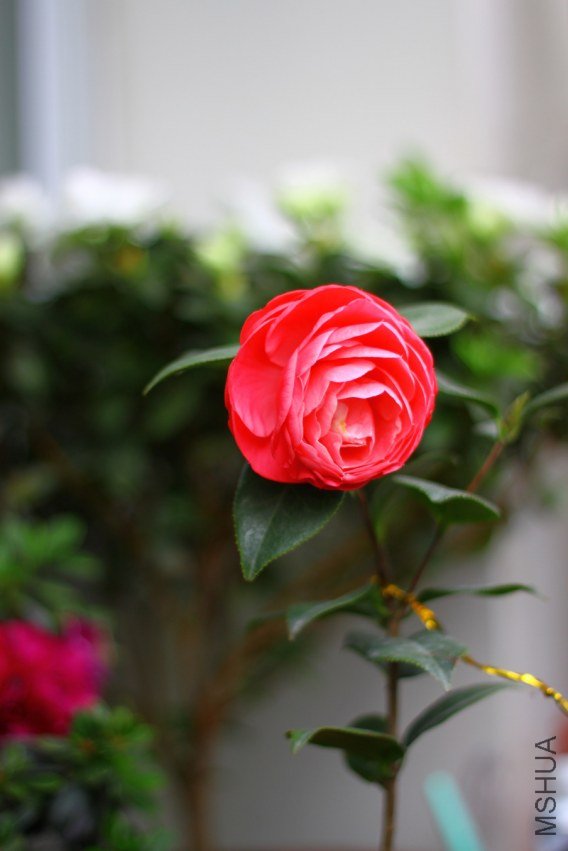 02-IMG_3628.JPG
