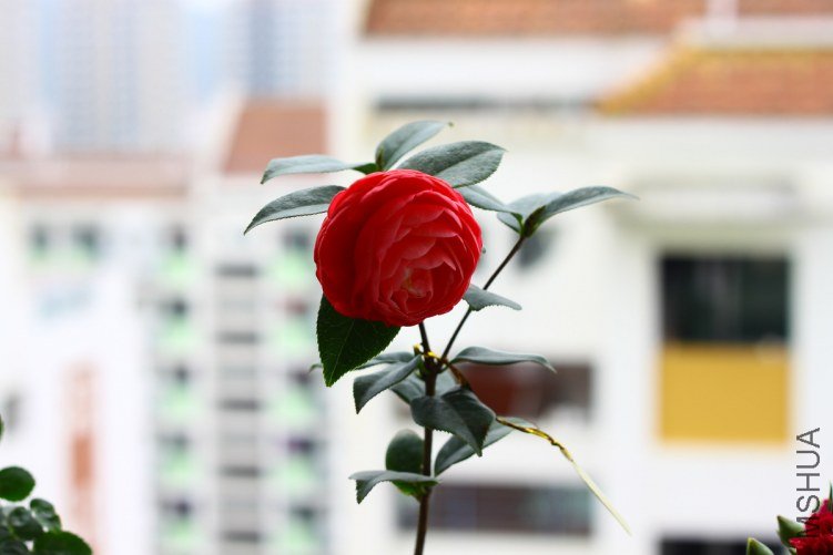 01-IMG_3627.JPG