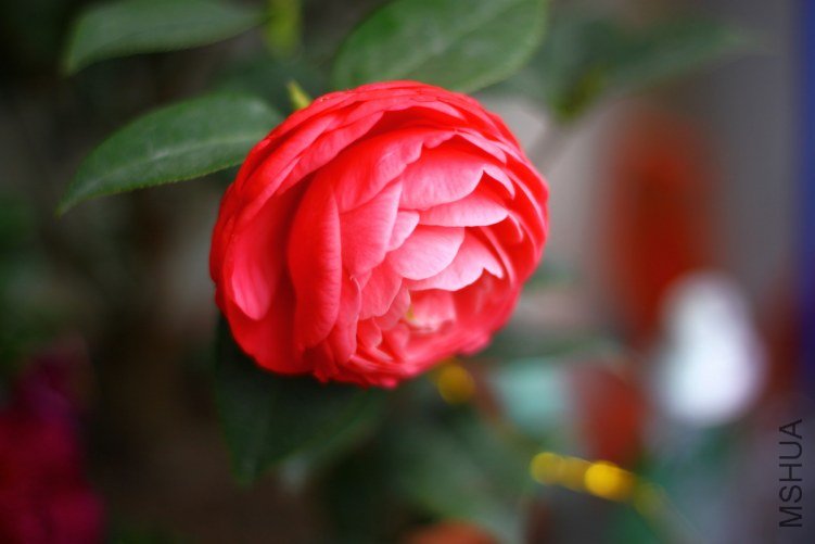04-IMG_3631.JPG