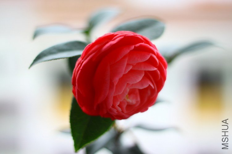 06-IMG_3633.JPG
