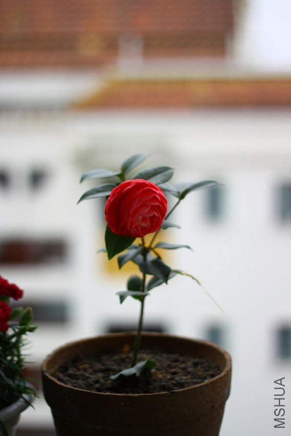 09-IMG_3637.JPG