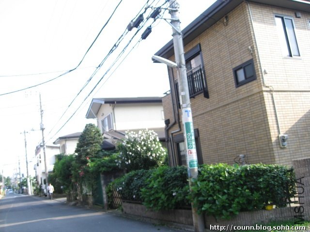 1230667df23g213.jpg