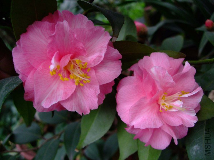 ���� 2012-3-20f 080.jpg