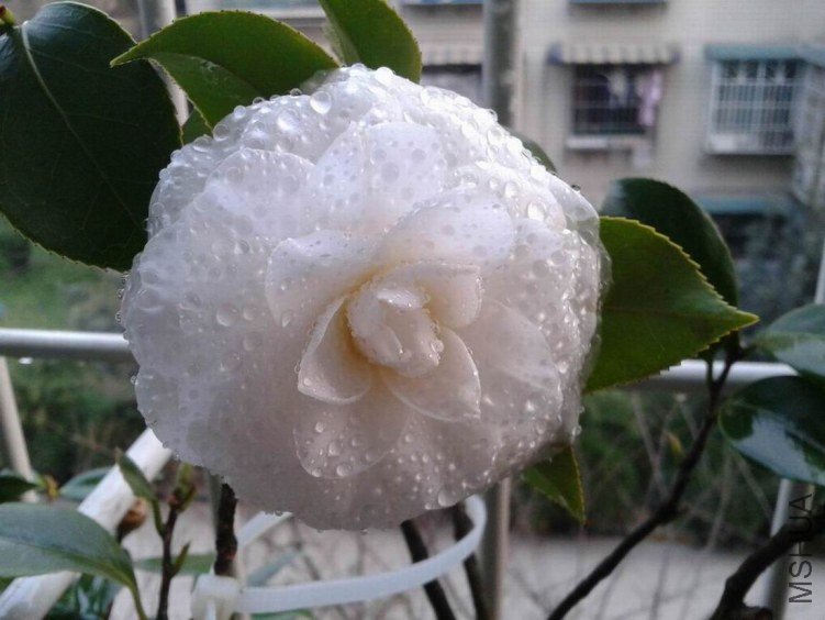 2012-03-20 18.36.35.jpg