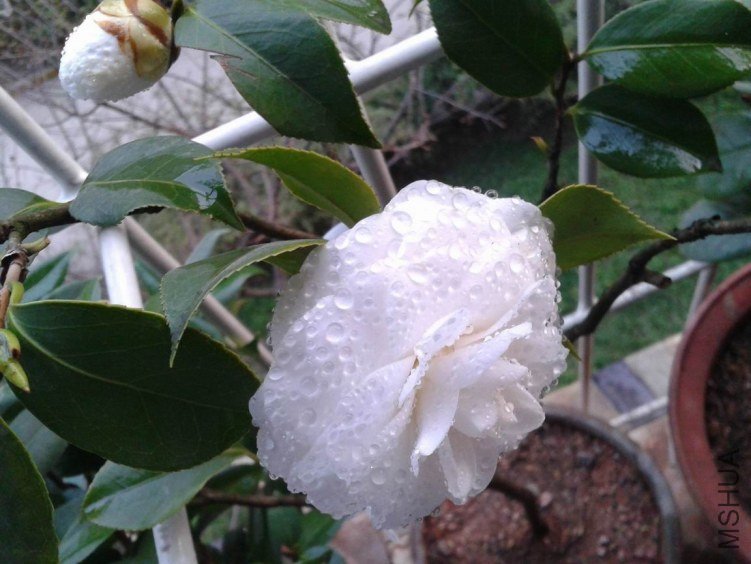 2012-03-20 18.36.57.jpg