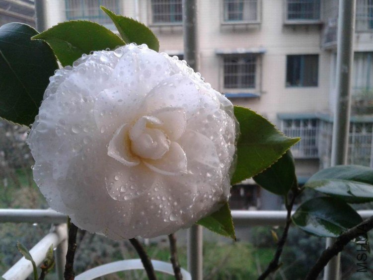 2012-03-20 18.37.08.jpg