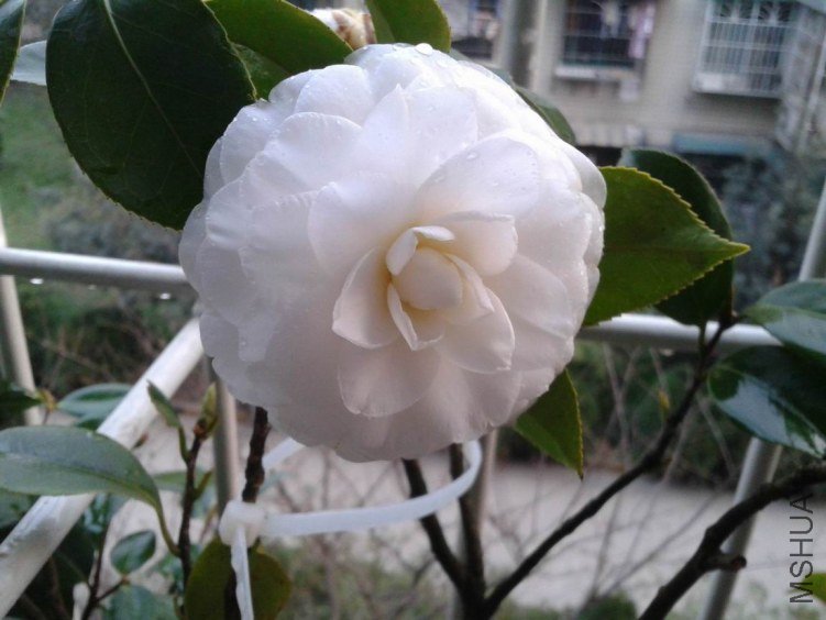 2012-03-20 18.37.32.jpg