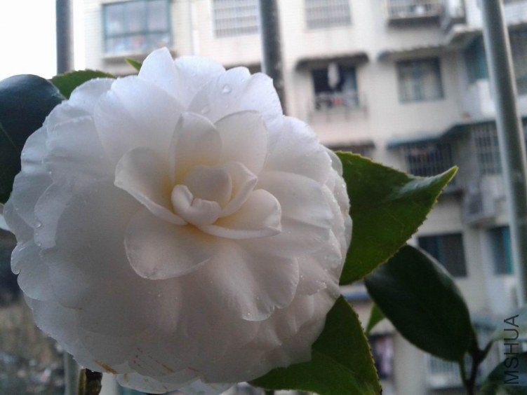 2012-03-20 18.37.38.jpg