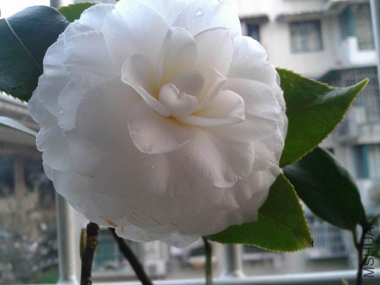 2012-03-20 18.37.44.jpg