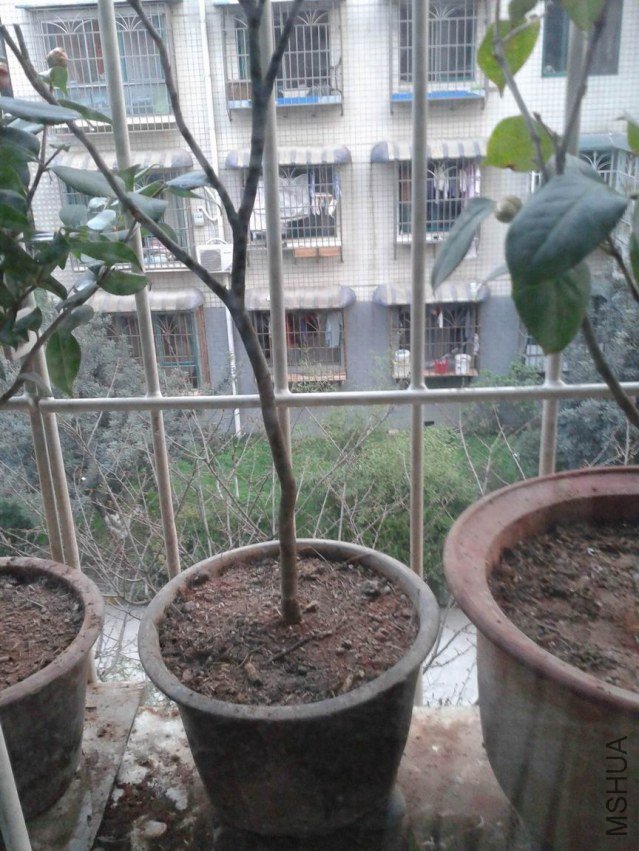 2012-03-20 18.50.16.jpg