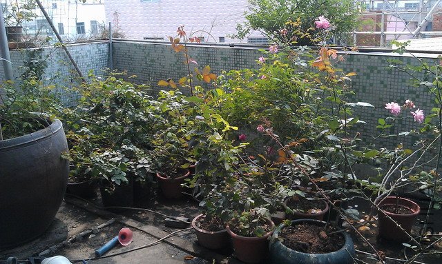 IMAG0634.JPG