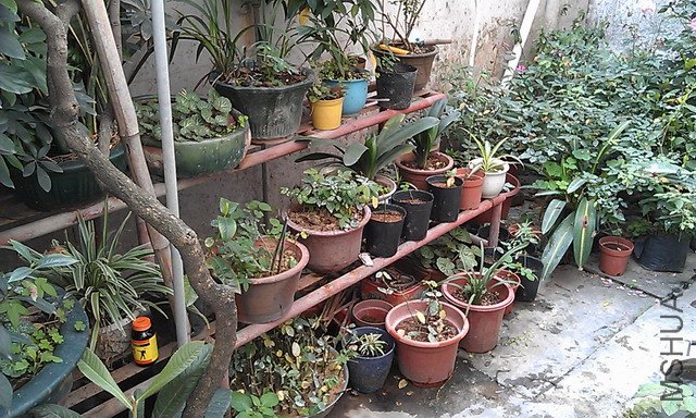 IMAG0639.JPG