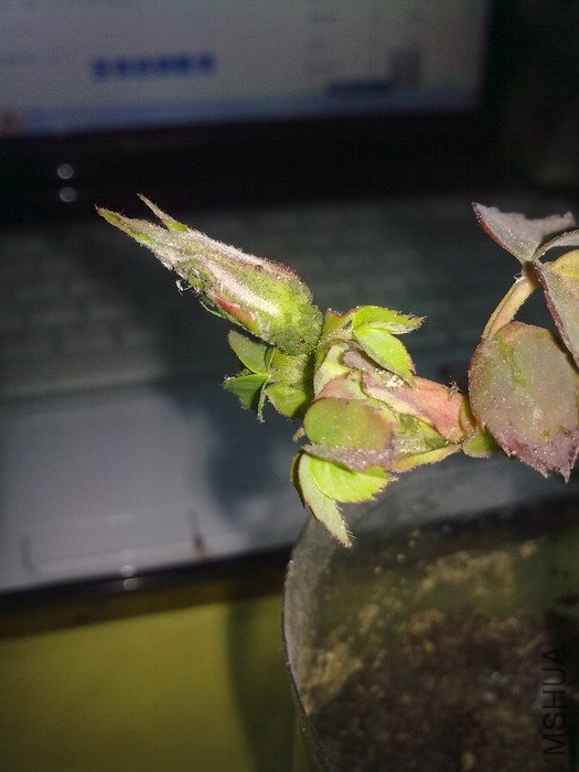 201203201293.jpg