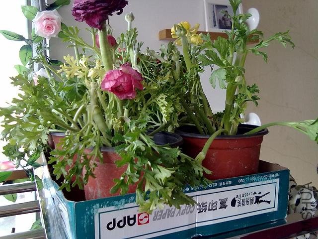 201203132662.jpg