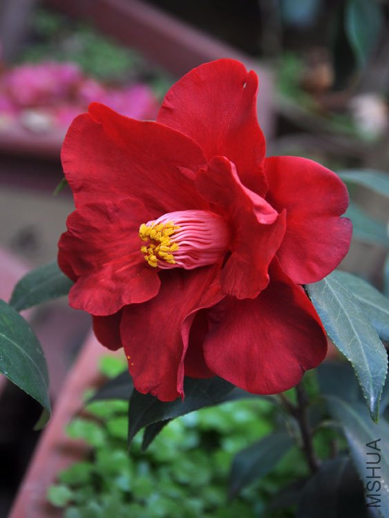 DSC_3316.JPG