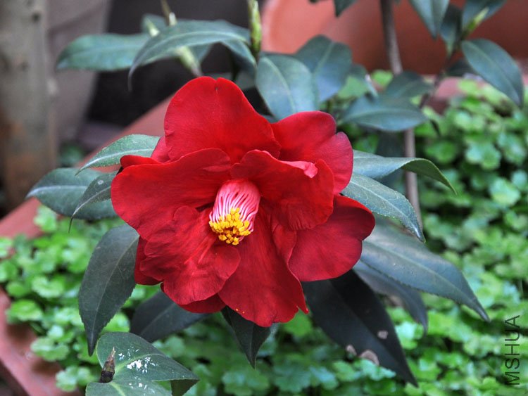 DSC_3317.JPG