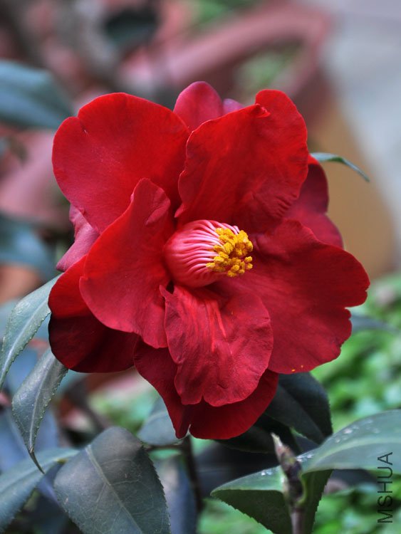 DSC_3318.JPG