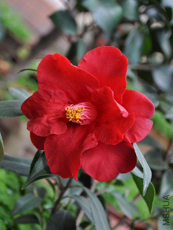 DSC_3355.JPG