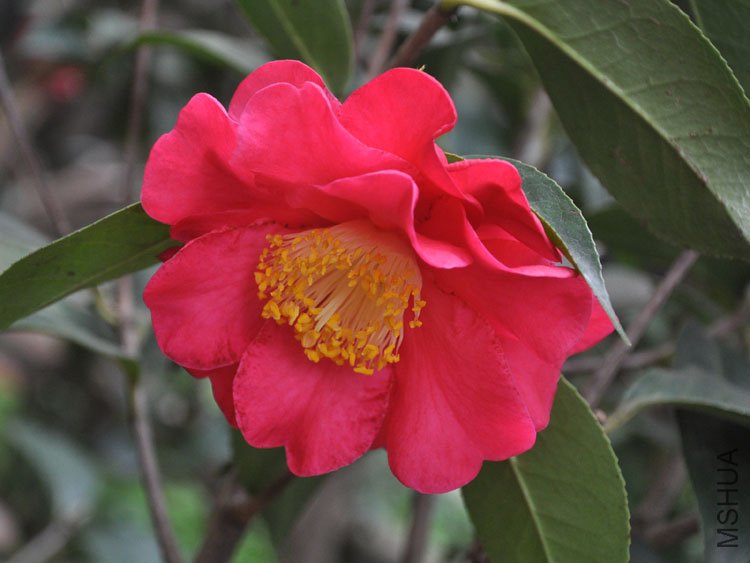 DSC_3305.JPG