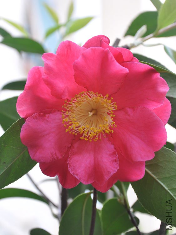 DSC_3321.JPG