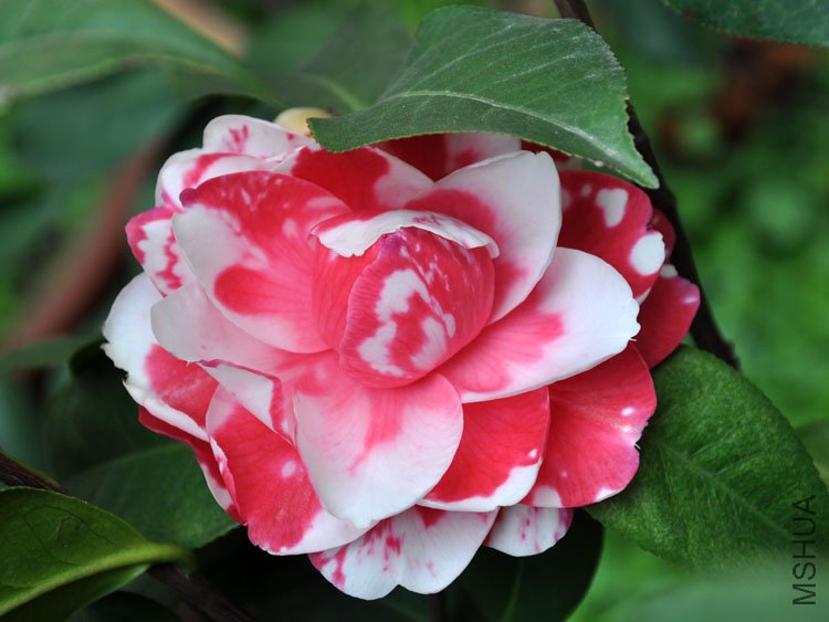 DSC_3360.JPG