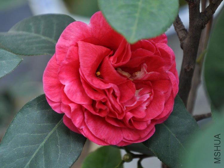 DSC_3378.JPG