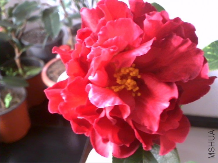Picture 157.jpg