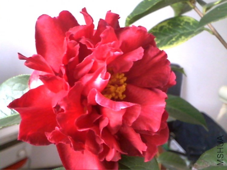 Picture 166.jpg