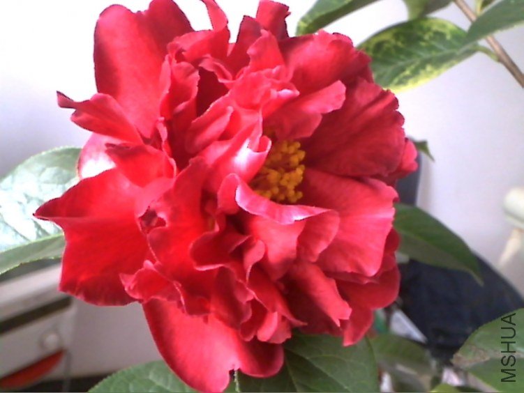 Picture 167.jpg
