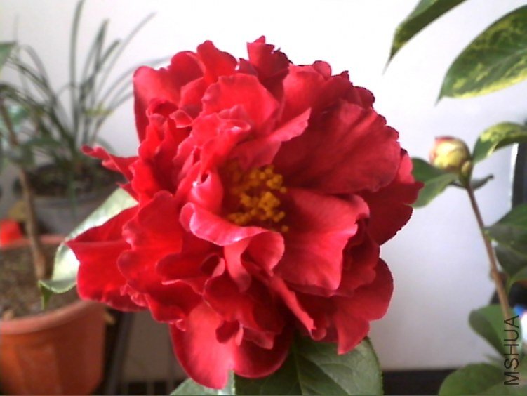 Picture 169.jpg
