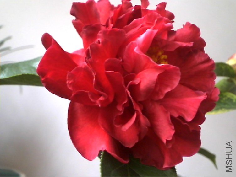 Picture 173.jpg